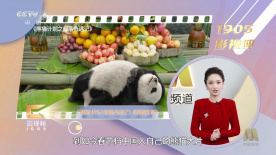 影片自12日起在 电影《母亲！